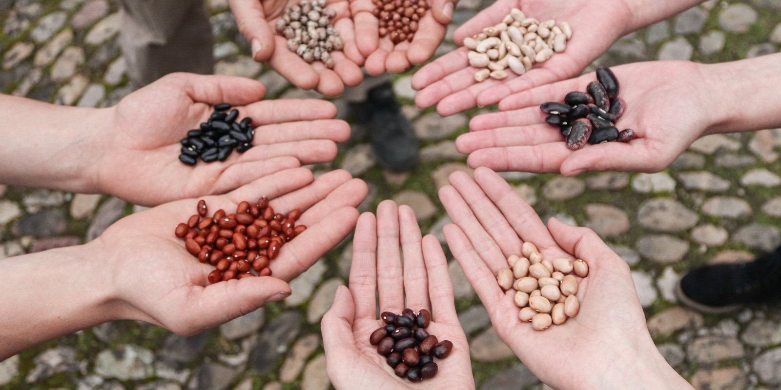 Viele Hände mit Saatgut einen Kreis bildend