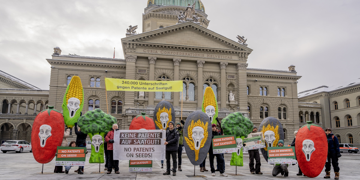 Gruppe von Menschen mit Transparenten vor Bundeshaus stehend