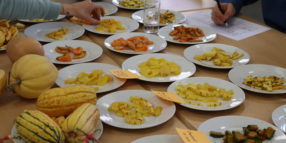 Teller mit Kürbissen auf Tisch