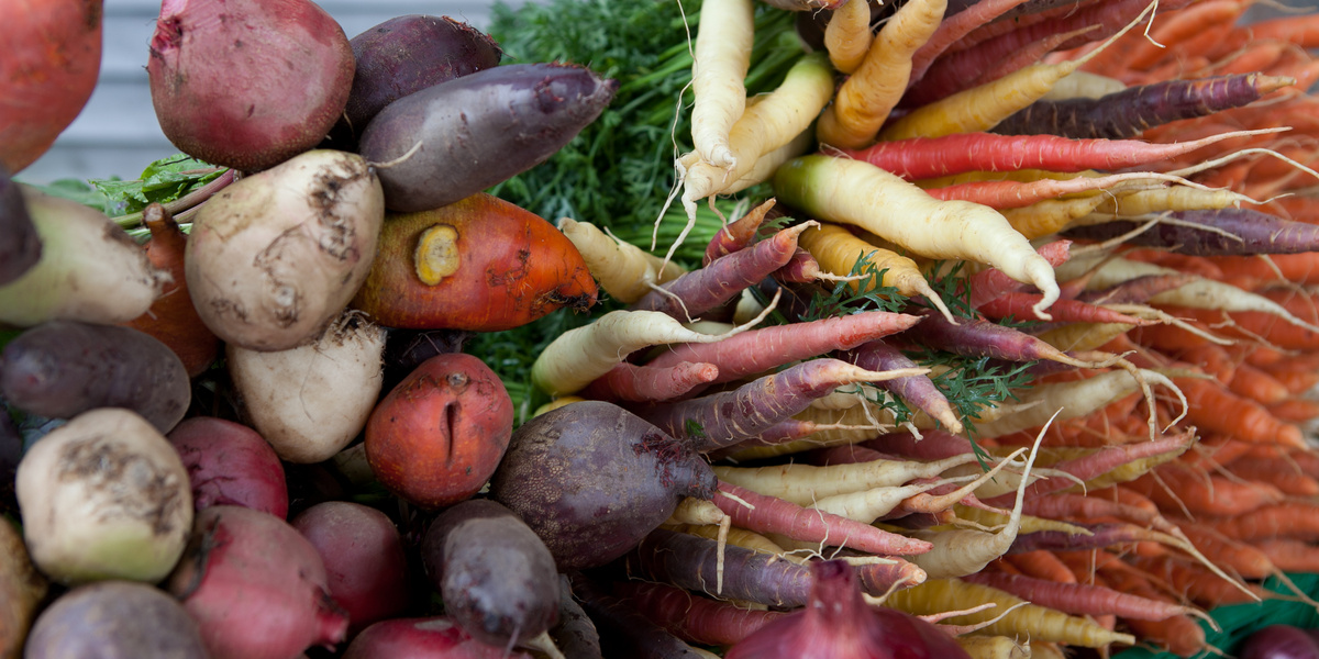 Verschiedenfarbige Karotten und Randen auf einem Haufen liegend